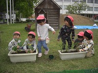 苗植え後の集合写真です