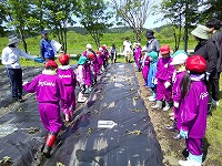 一年生と苗植え