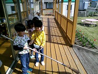 蜘蛛の巣鳥