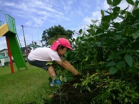 うんとこしょ
