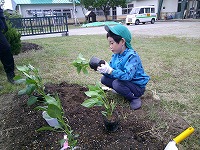 花植え5