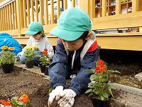 花植え男の子１