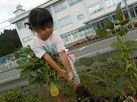 私もがんばります