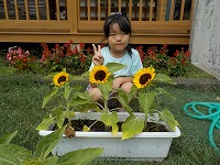ひまわりと子ども