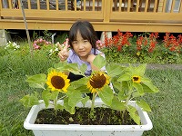 ひまわりと子ども