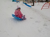 そりをする子ども