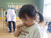 きゅうりを食べる女の子