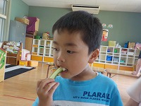 きゅうりを食べる男の子