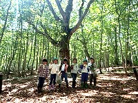 岳岱探検