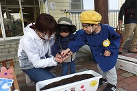 親子で種まきをしている様子