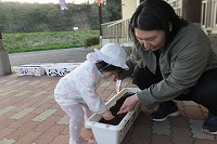 親子で種まきをしている様子