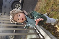 熊の帽子をかぶってつかまり立ちをする男の子