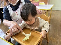 キャベツを不思議そうに見ている子