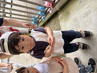 イチゴの収穫