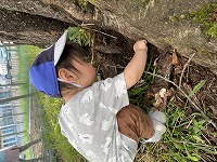 公園で遊んでいる子ども