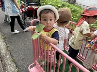 散歩カーに乗っている子ども達