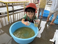 色水遊び