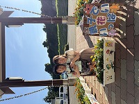 親子写真