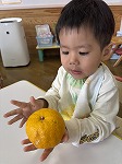 ゆずを触っている子ども