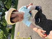 イチゴの苗を観察している男の子