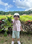 小松菜を収穫した女の子