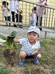 小松菜を収穫した男の子