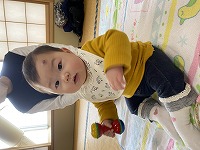 音の鳴る玩具で