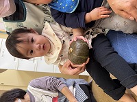 かぼちゃを触っている子ども