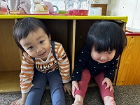 箱に入って遊んでる