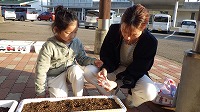 親子で種まきをしている
