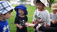 先生がつかまえたカエルをのぞきこんでいる子ども達