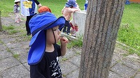 木を登っている虫を見つめる男の子
