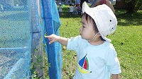 虫を見つける男の子