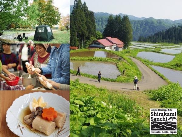 棚田や体験など里山の写真です。